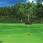 Bravo Golf Simulator